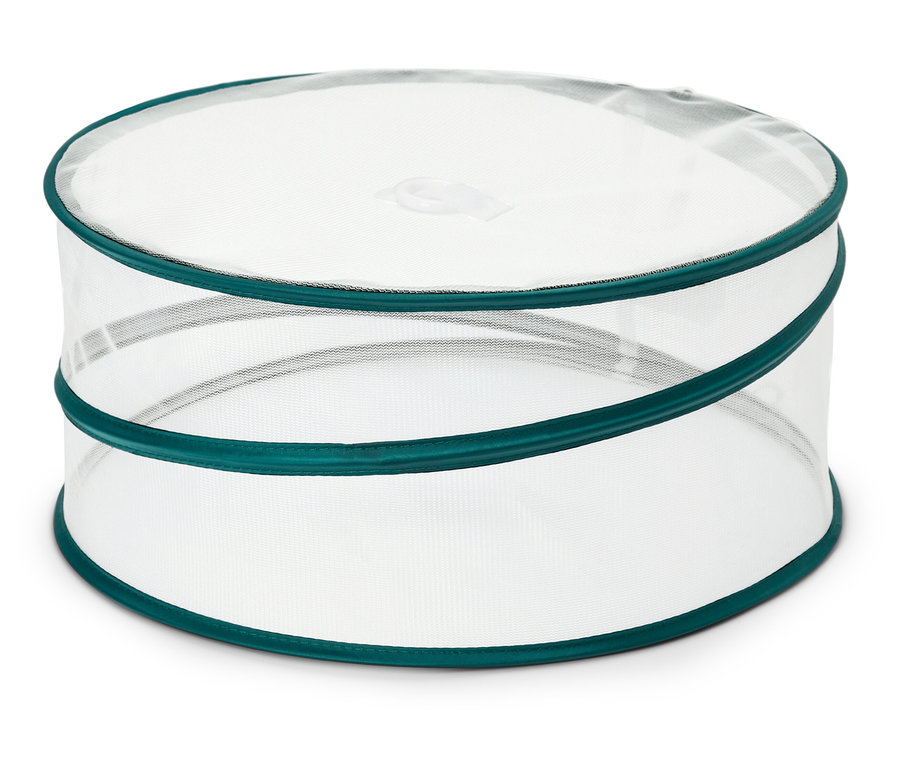 Couvercle alimentaire rond transparent avec bordure verte.