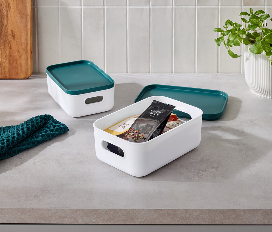 Sur un comptoir de cuisine, il y a deux récipients blancs avec des couvercles turquoise, dont l'un est ouvert et rempli de nourriture, ainsi qu'un torchon vert et une plante dans un pot blanc.