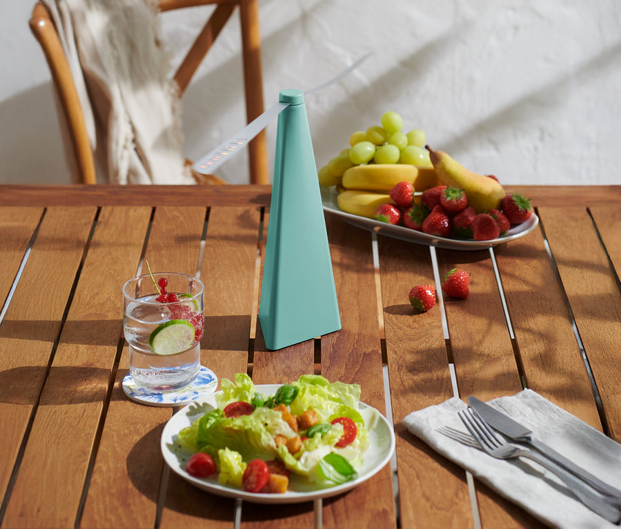 Sur une table en bois se trouvent une boisson, une assiette de salade, un plat de fruits et un ventilateur turquoise.