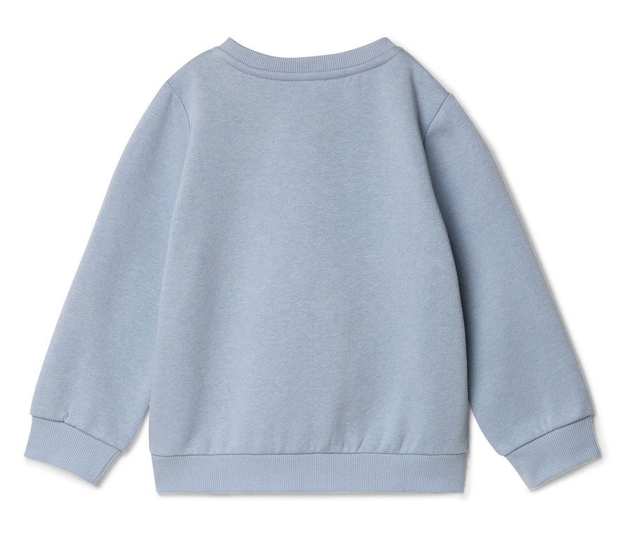 Sweat-shirt bleu clair, vue de dos.