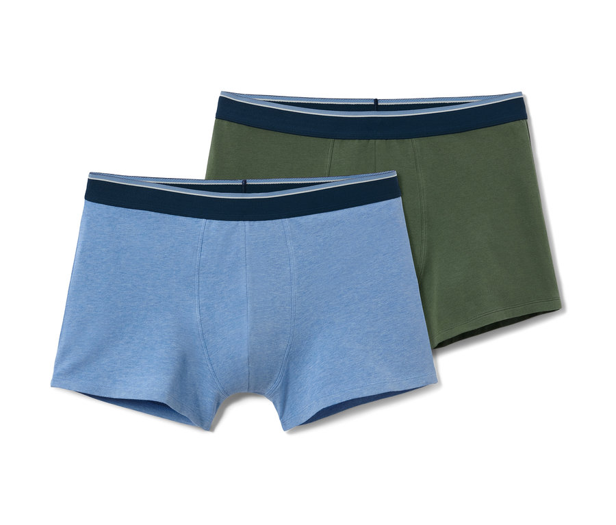 Deux boxers, un bleu et un vert olive.