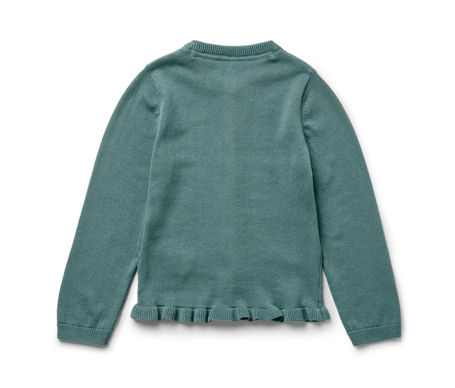 Vue arrière d'une veste en maille pour enfant bleu-vert à manches longues avec un volant à l'ourlet, posée sur un fond blanc.
