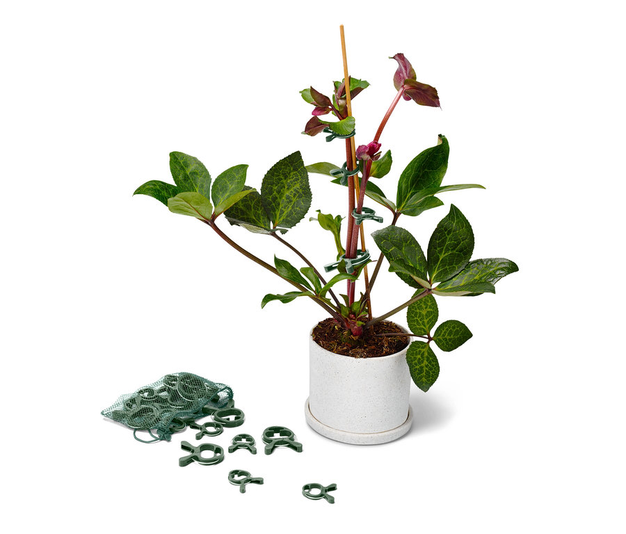 Une fleur en pot est attachée à un bâton avec 20 clips pour plantes.