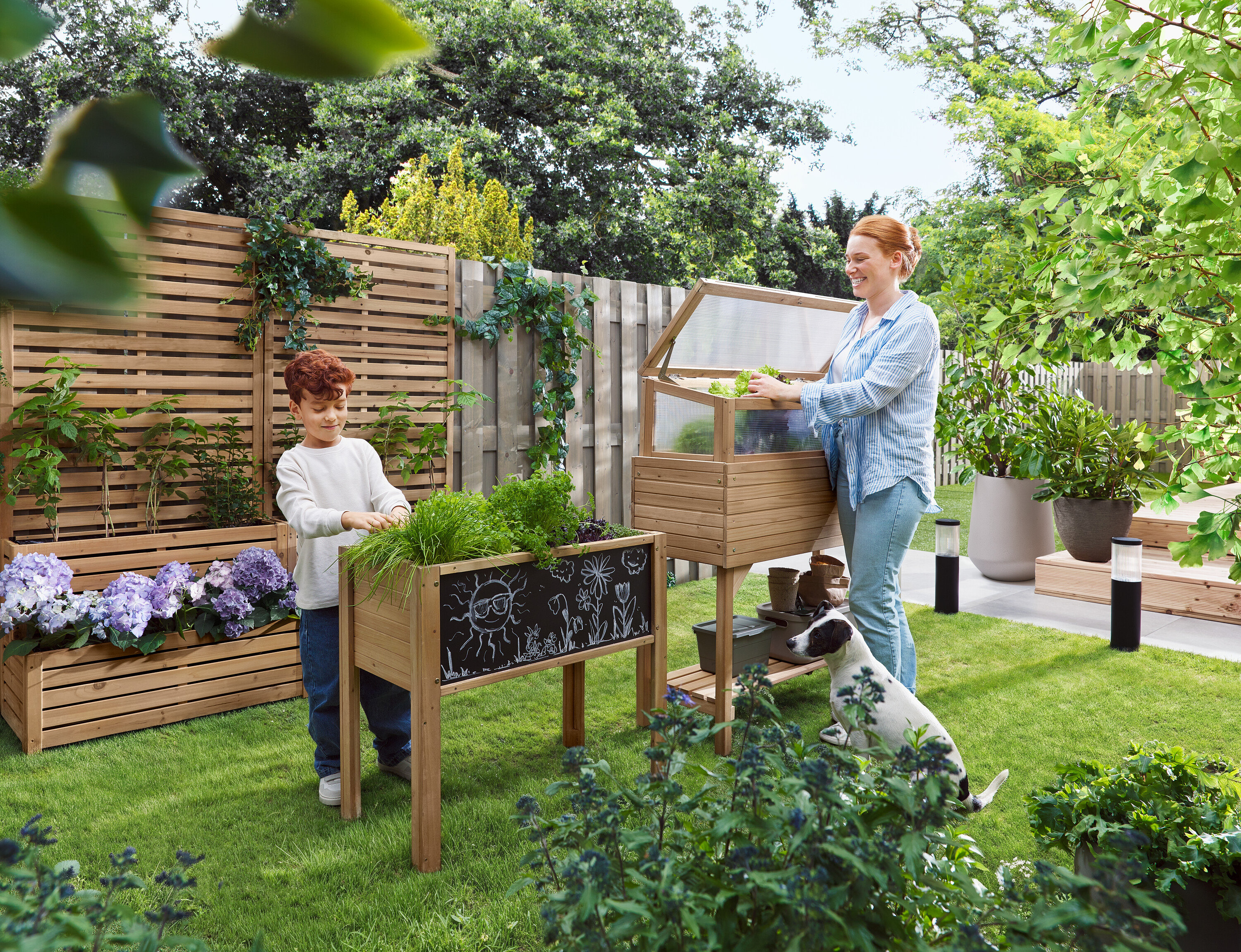 Une femme ouvre un châssis froid pendant qu'un enfant se tient à côté d'un jardin surélevé. Un chien est assis dans l'herbe.