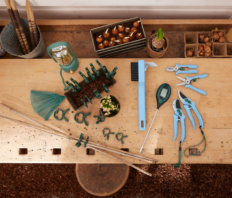 Divers outils de jardinage et plantes sur une table en bois.