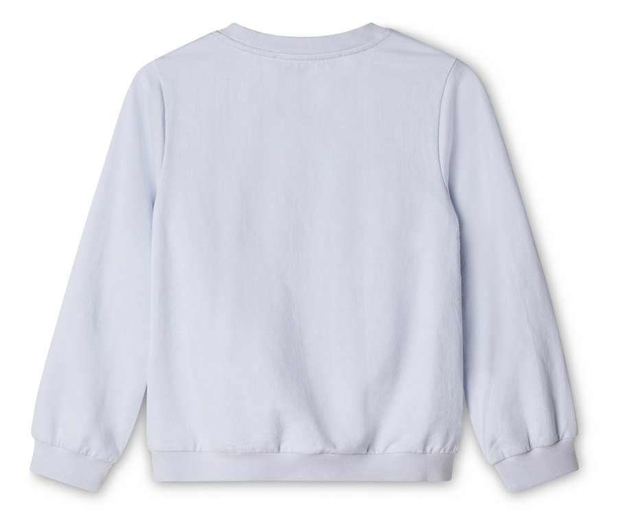 Sweat-shirt bleu clair à manches longues, photographié de dos.