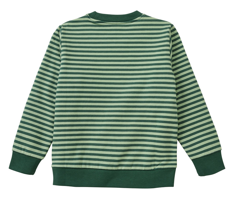 Sweat-shirt rayé vert et vert clair, vue de dos.