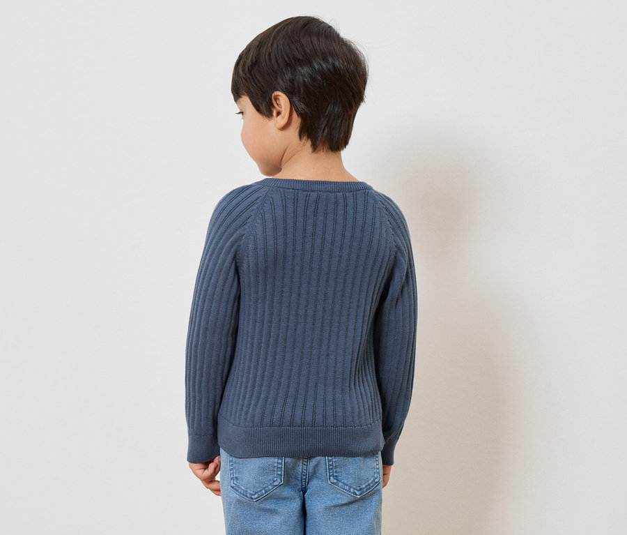 Un enfant vu de dos, portant un pull en tricot côtelé bleu-gris et un jean.