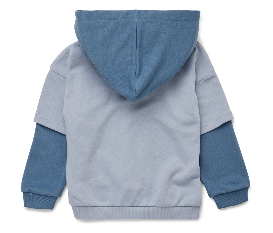 Vue arrière d'un sweat à capuche bicolore bleu et bleu clair.