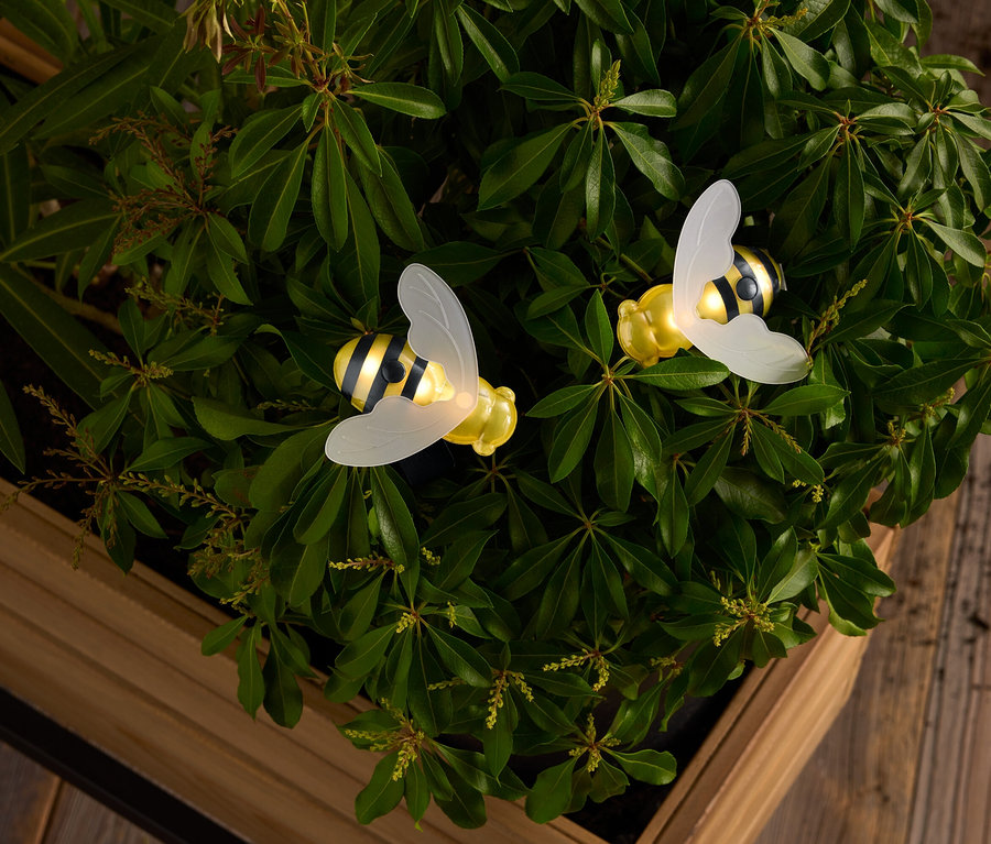 Deux abeilles jaunes et noires à rayures avec des ailes translucides au milieu de feuilles vertes dans une boîte en bois.