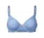 Bleu bleuet