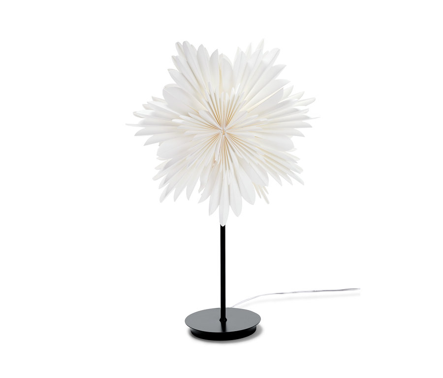 Éclairage décoratif à LED « étoile » sur fond blanc.