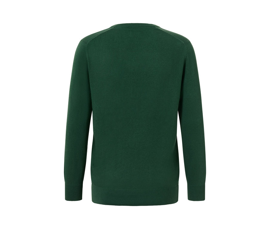 Pull vert foncé à encolure en V vu de dos.