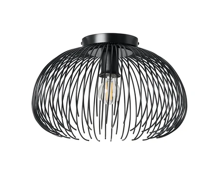 Plafonnier noir avec un abat-jour en cage métallique en forme de dôme aplati. Une ampoule de style Edison est visible à l'intérieur.