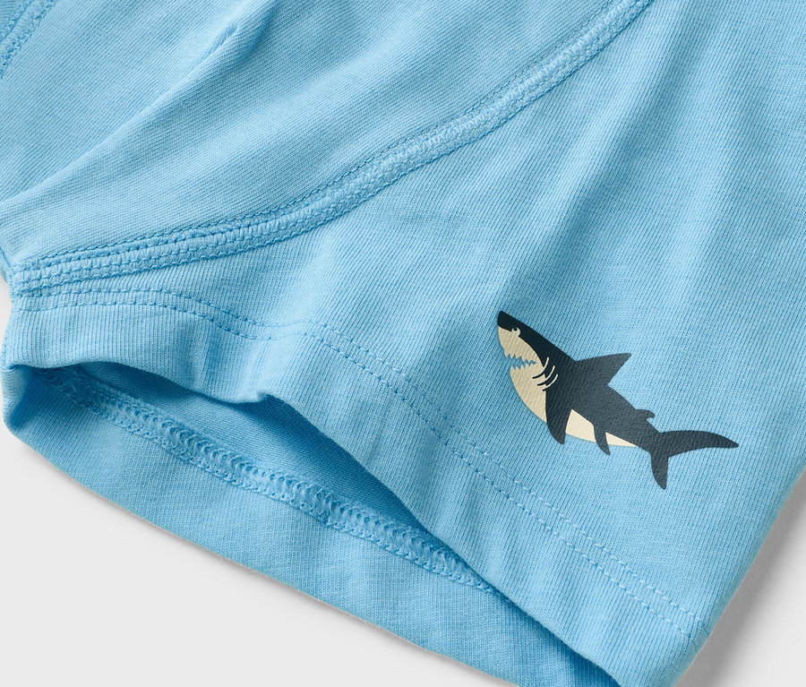 Gros plan de sous-vêtements bleu clair avec un motif de requin.