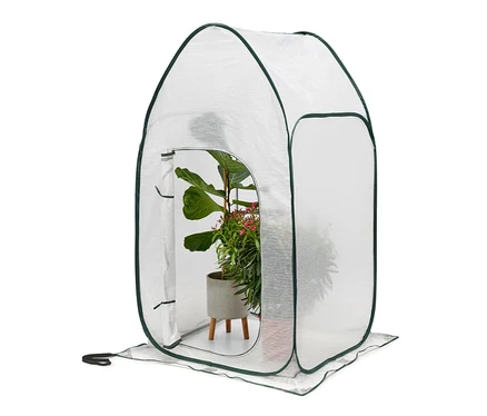 Haute serre pop-up pour protéger les plantes avec des plantes à l'intérieur.