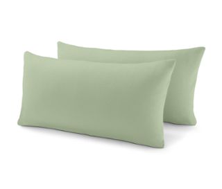 2x vert olive clair