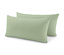 2x vert olive clair