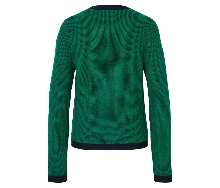 Vue arrière d'un pull en tricot vert avec une bordure bleu foncé.