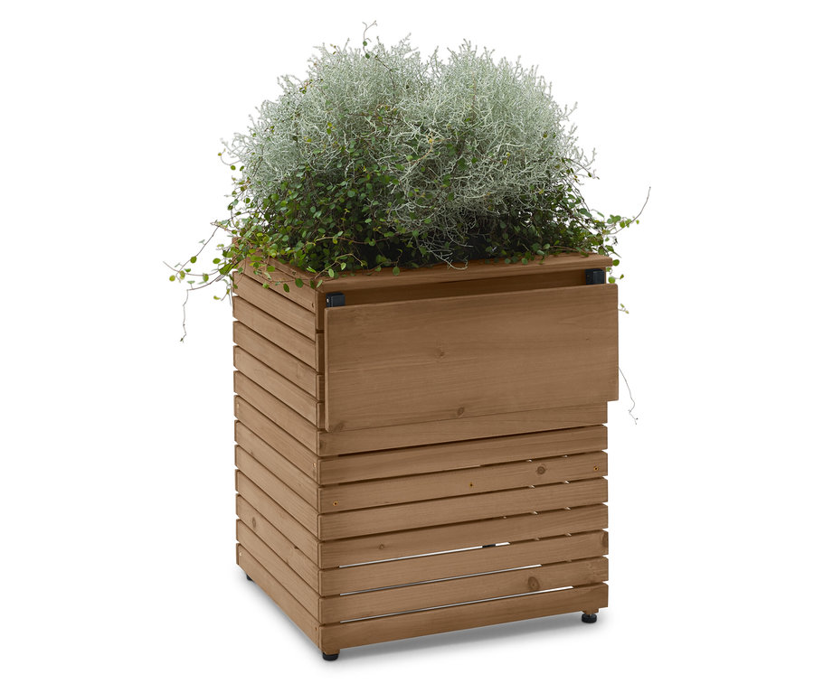 Pot de fleurs en bois avec une végétation argentée et verte sur fond blanc.