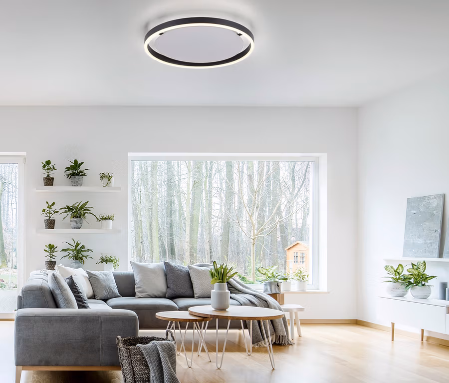 Salon avec canapé gris et plafonnier LED JUST LIGHT . LED Deckenleuchte »Ritus«.