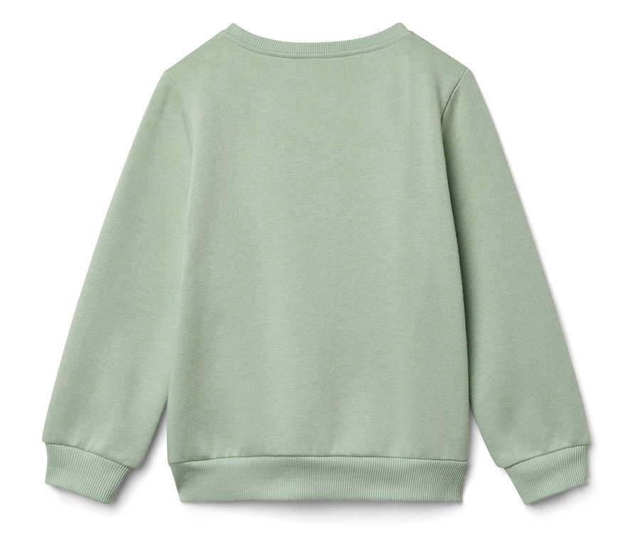 Vue arrière d'un sweat-shirt vert clair.