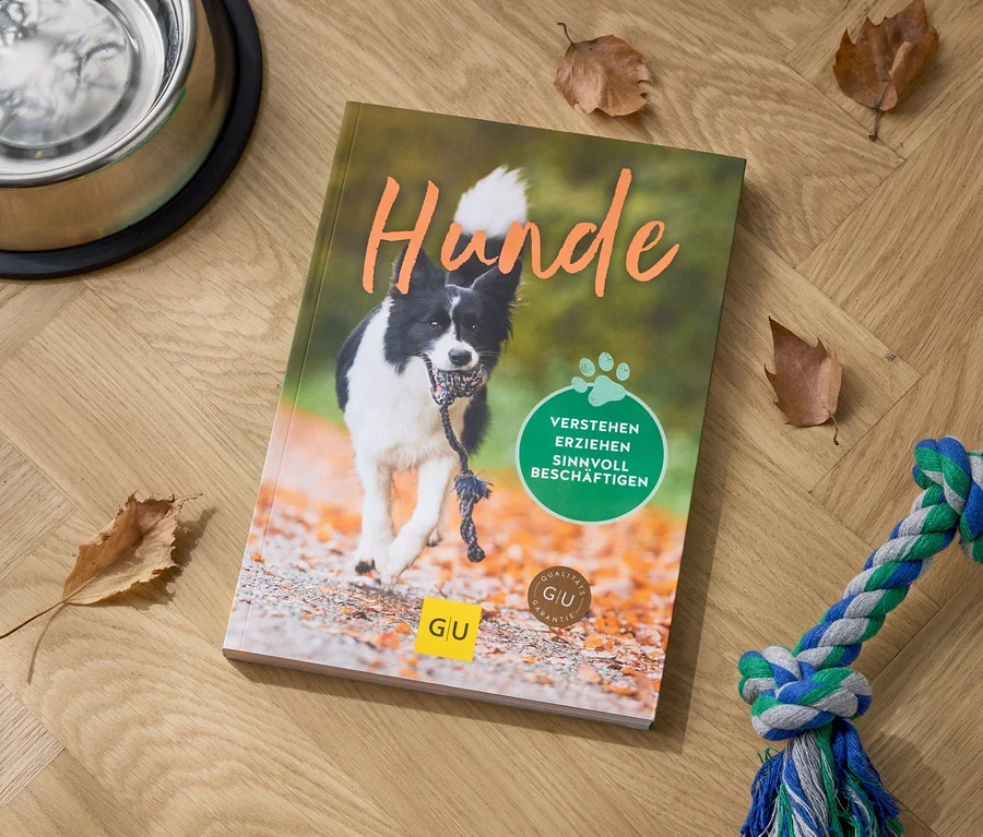 Sur une table en bois se trouvent une gamelle pour chien, un livre sur les chiens et un jouet en corde.