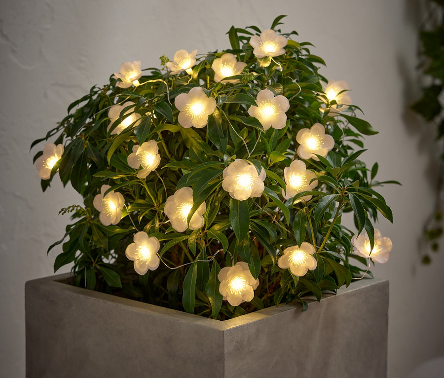 Plante fleurie avec guirlande lumineuse dans un pot carré gris.