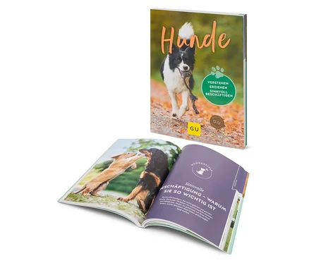 Deux livres sont posés sur une table. Le livre à l'arrière-plan montre un border collie avec un jouet dans la gueule. Le livre ouvert montre deux chiens qui jouent ensemble.