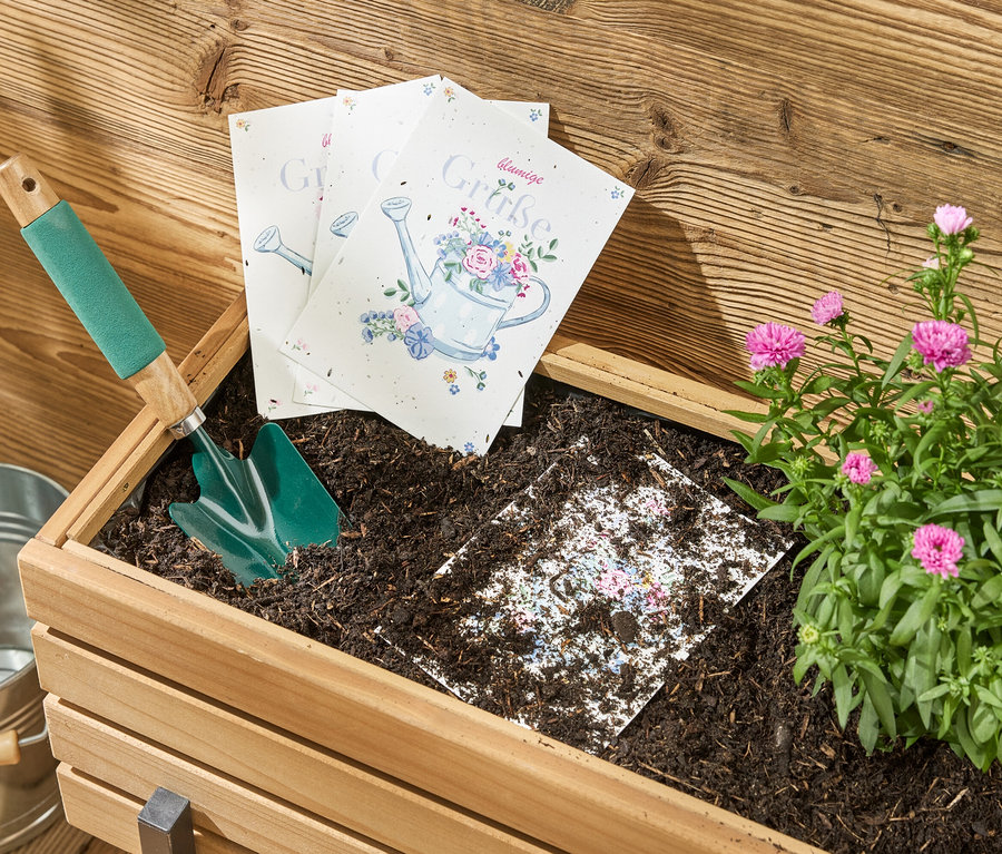 Une boîte en bois avec de la terre dans laquelle se trouvent une pelle, du papier de graines de fleurs et des cartes de vœux, à côté d'un seau et d'une plante fleurie.