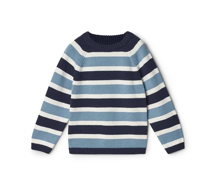 Pull rayé à manches longues et col rond, bleu marine, bleu clair et blanc.
