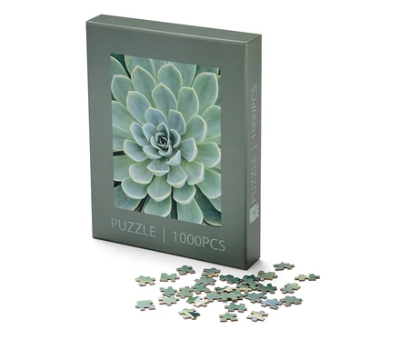 Une boîte de puzzle « Succulentes » et quelques pièces de puzzle sont posées sur un fond blanc.