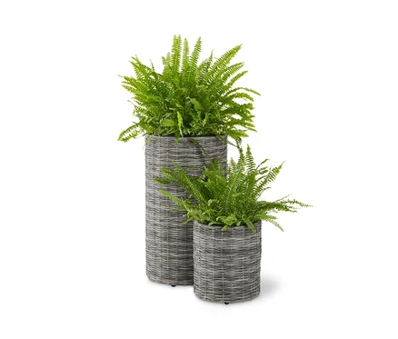Deux pots de fleurs en polyrotin avec des fougères.