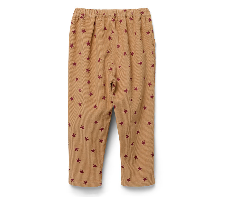 Pantalon marron en velours côtelé avec des étoiles rouges.