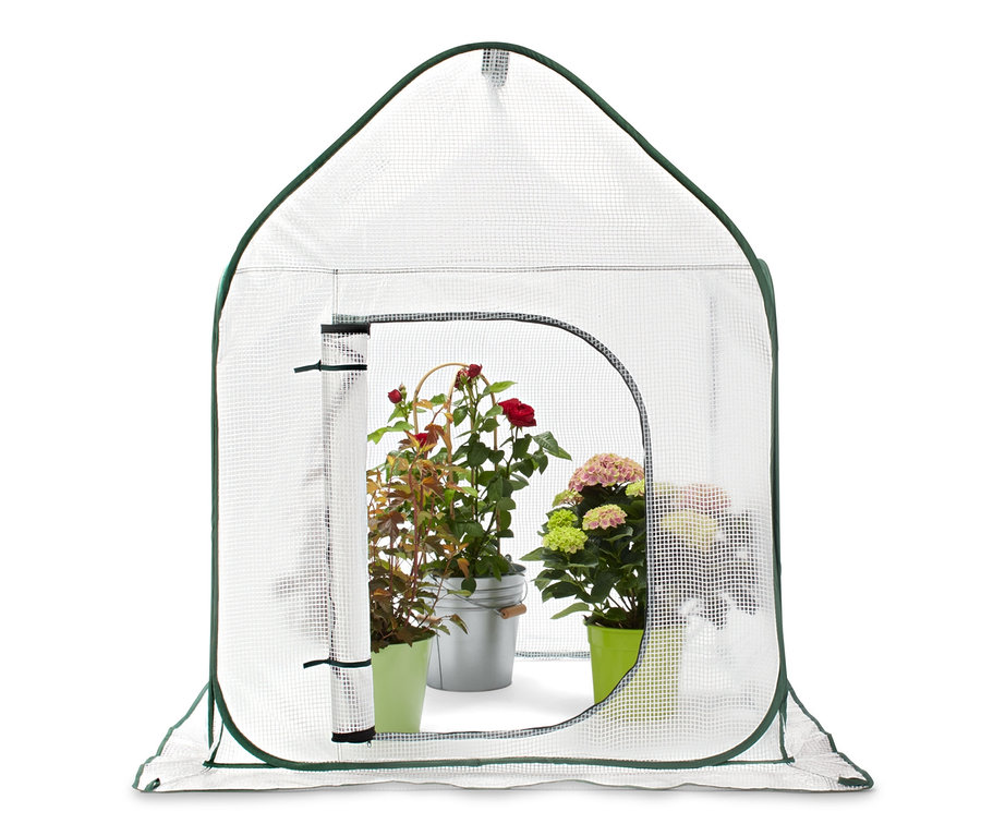Deux pots de fleurs et des plantes sont à l'intérieur d'une serre pop up pour protéger les plantes.