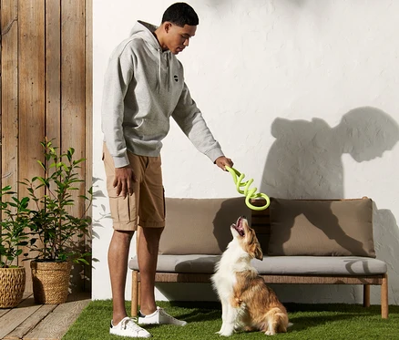 Un homme joue avec un chien avec un jouet de traction pour chien sur une pelouse.