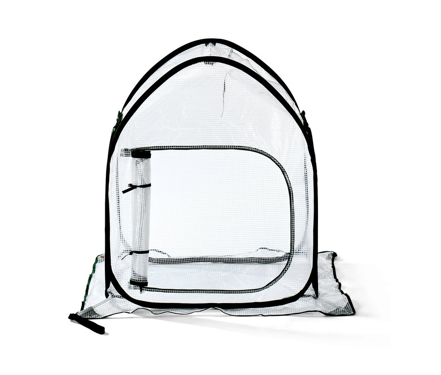 Petite serre pop-up pour protéger les plantes.