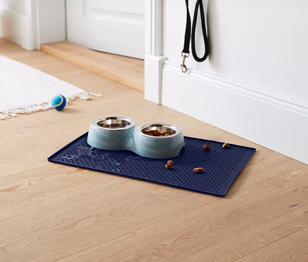 Un tapis bleu avec des gamelles pour chiens, dont une remplie de nourriture, avec des morceaux de nourriture sur le tapis et autour. À l'arrière-plan, un tapis blanc, une balle bleue et une laisse noire.