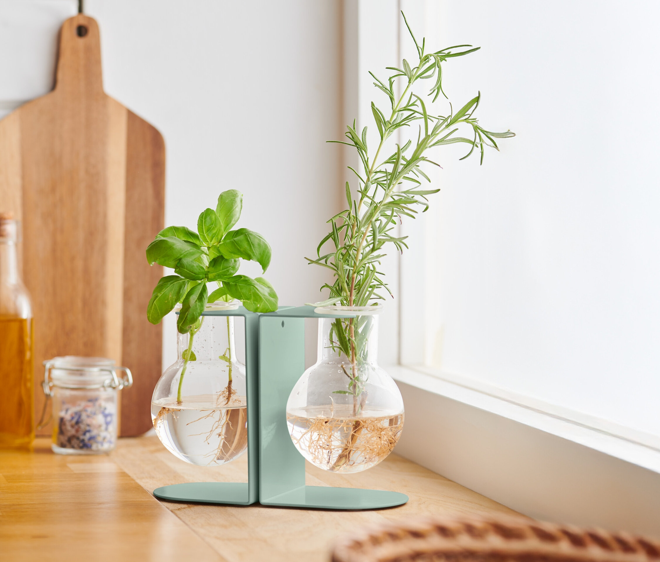 Basilic et romarin dans une station de bouturage sur un comptoir de cuisine.