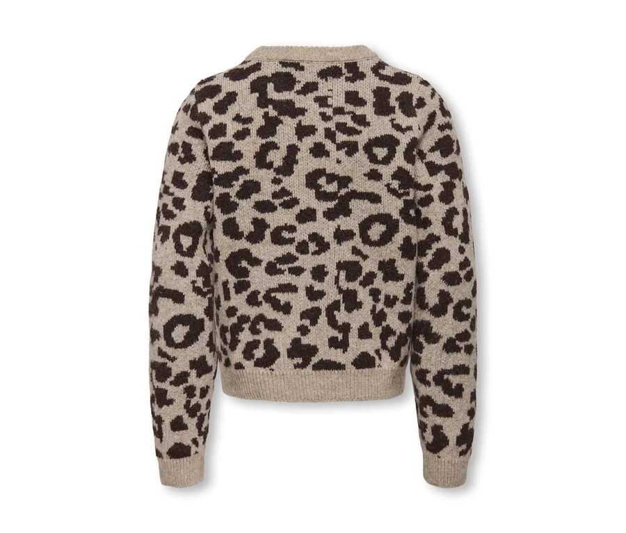 Vue de dos d'un pull en maille beige avec un motif léopard marron foncé.