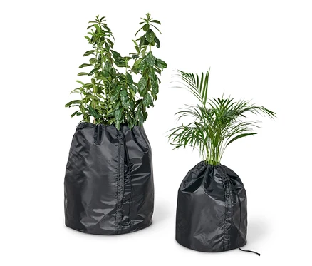 Deux plantes dans des housses de protection noires.