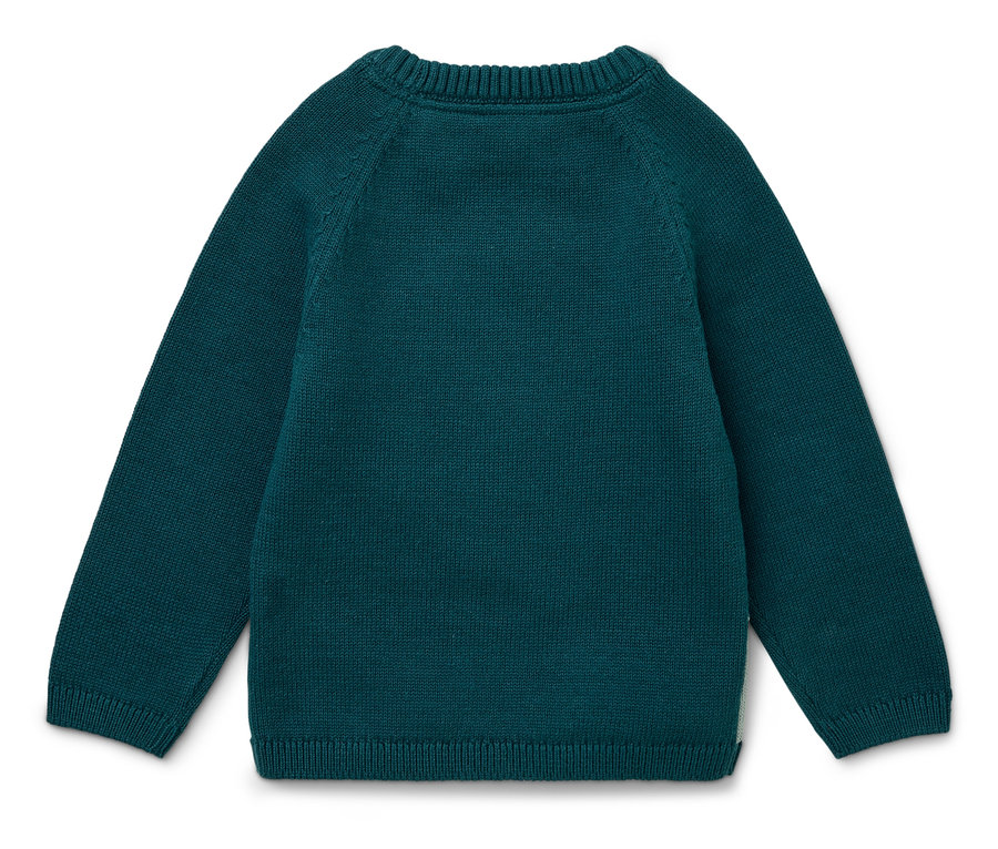 Vue arrière d'un pull vert à manches longues.