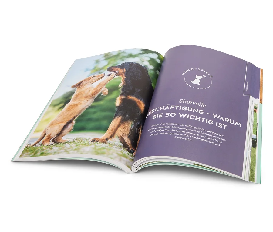 Un livre ouvert présente une photo de deux chiens, un brun debout sur ses pattes arrière, tendant une patte vers un chien noir.