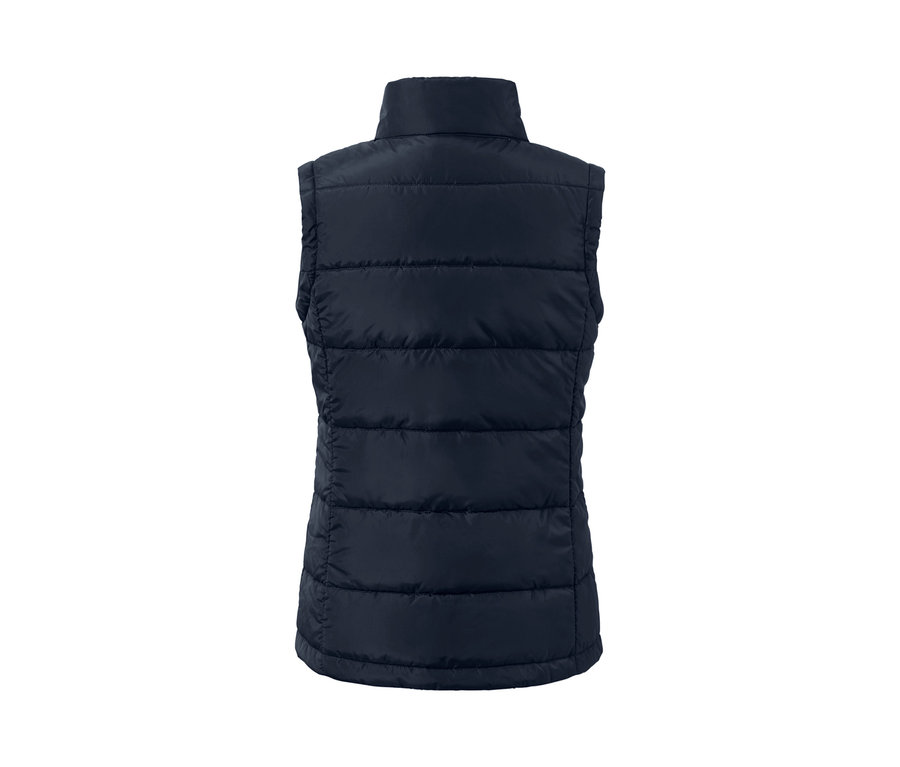 Vue arrière du gilet pétrole du manteau d’extérieur 3 en 1.