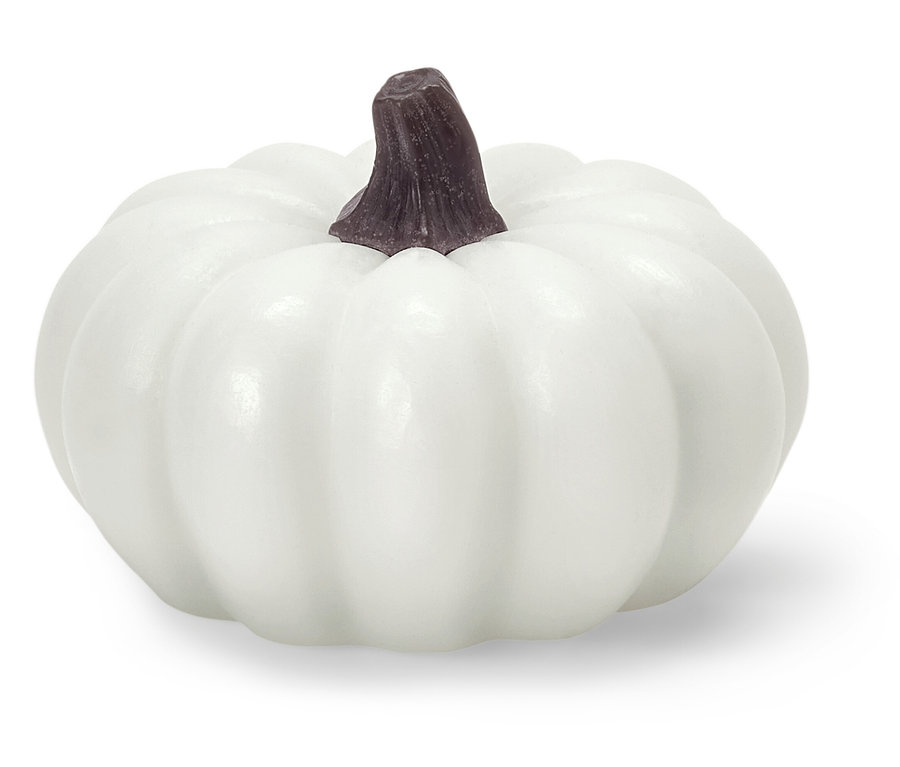 Citrouille blanche avec une tige marron.