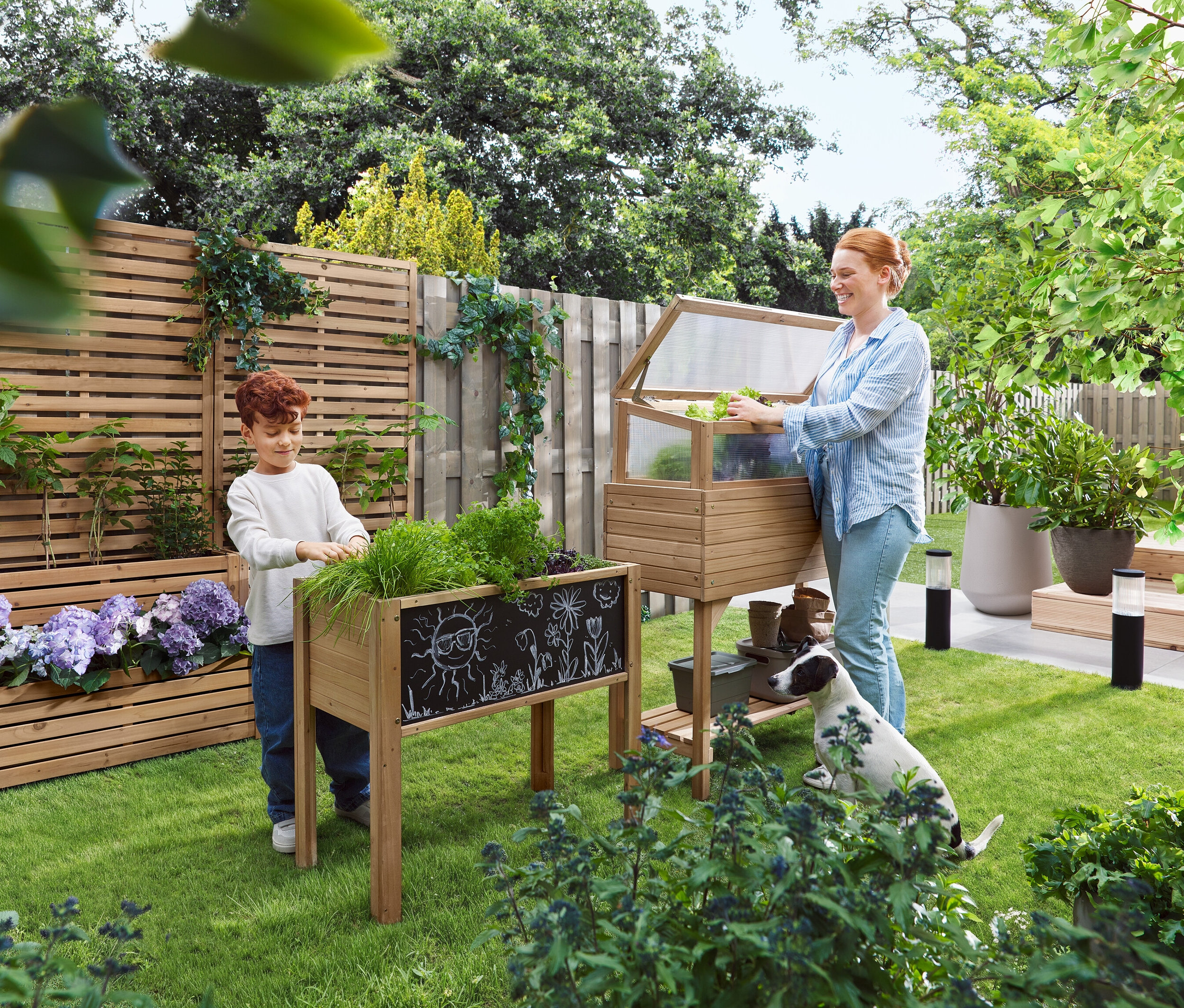 Une femme ouvre un châssis froid pendant qu'un enfant se tient à côté d'un jardin surélevé. Un chien est assis dans l'herbe.