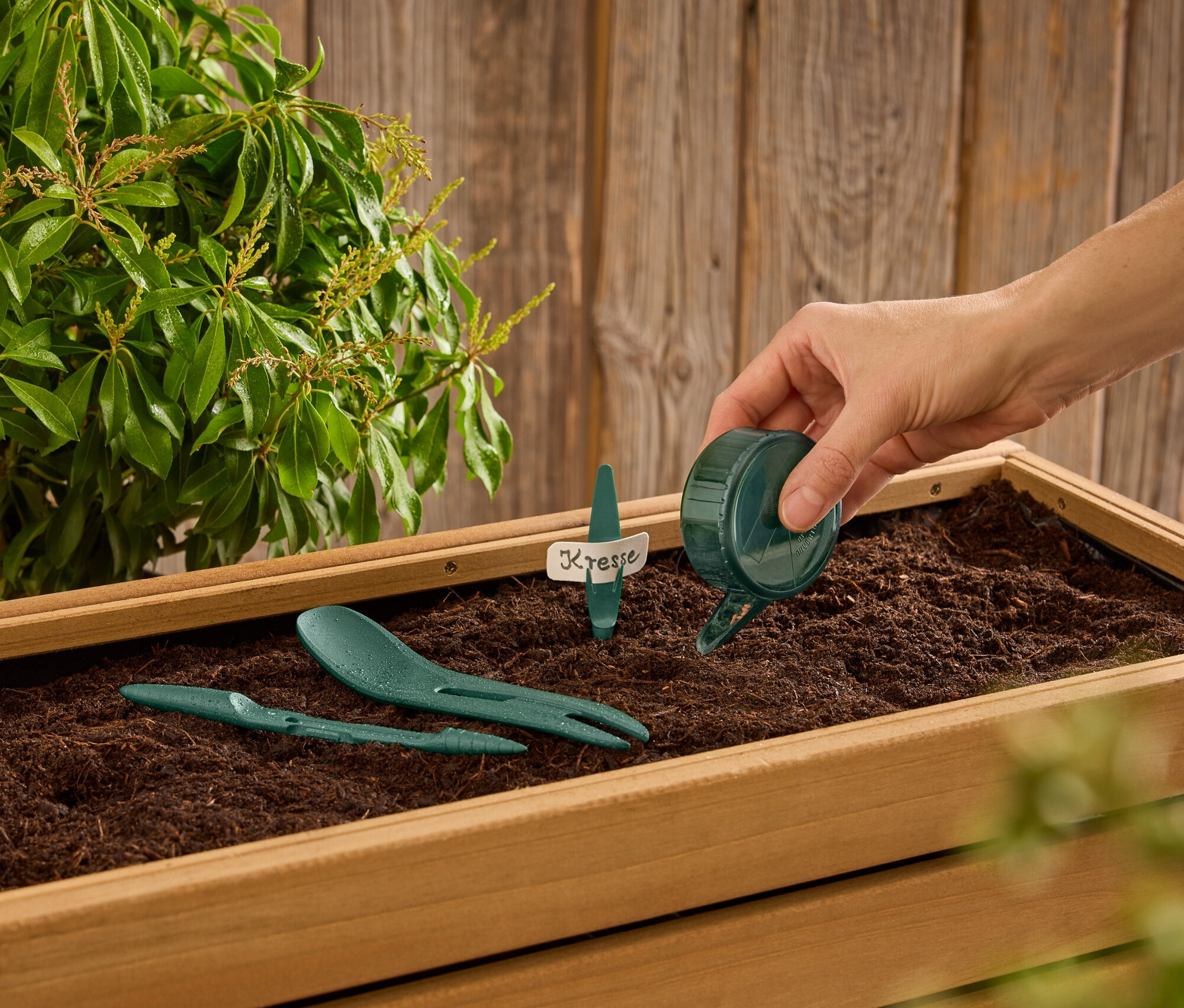 Une main verse de l'eau d'un petit arrosoir vert dans une boîte en bois remplie de terre, où se trouvent des outils de jardinage verts et une étiquette avec l'inscription "Kresse".