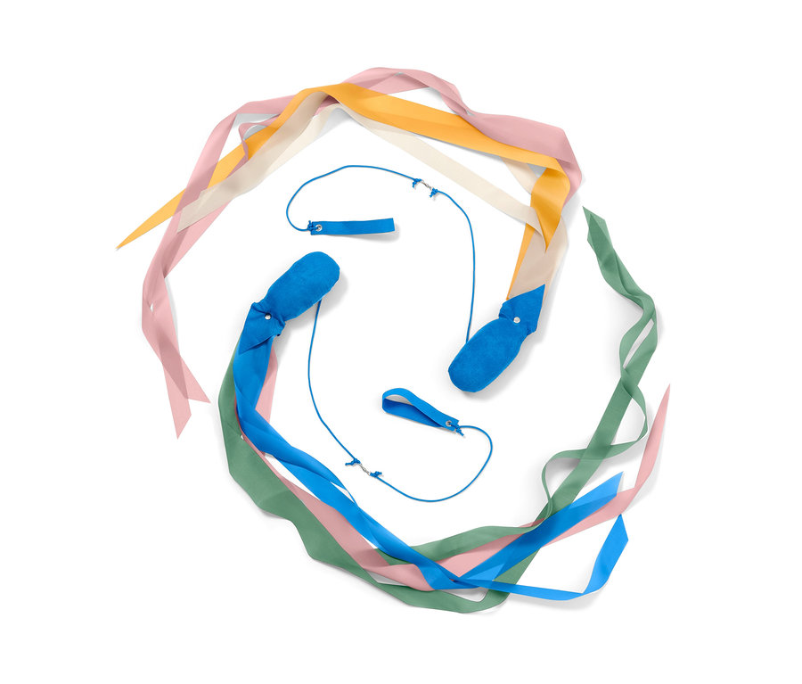 Deux poi à queue sont posés sur un fond blanc.