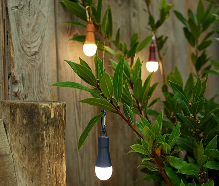 Trois lampes décoratives à LED sont suspendues aux branches d'un arbuste devant une clôture en bois.