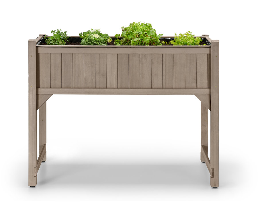 Plate-bande « Jonte » avec corniche à couche avec des plantes vertes.